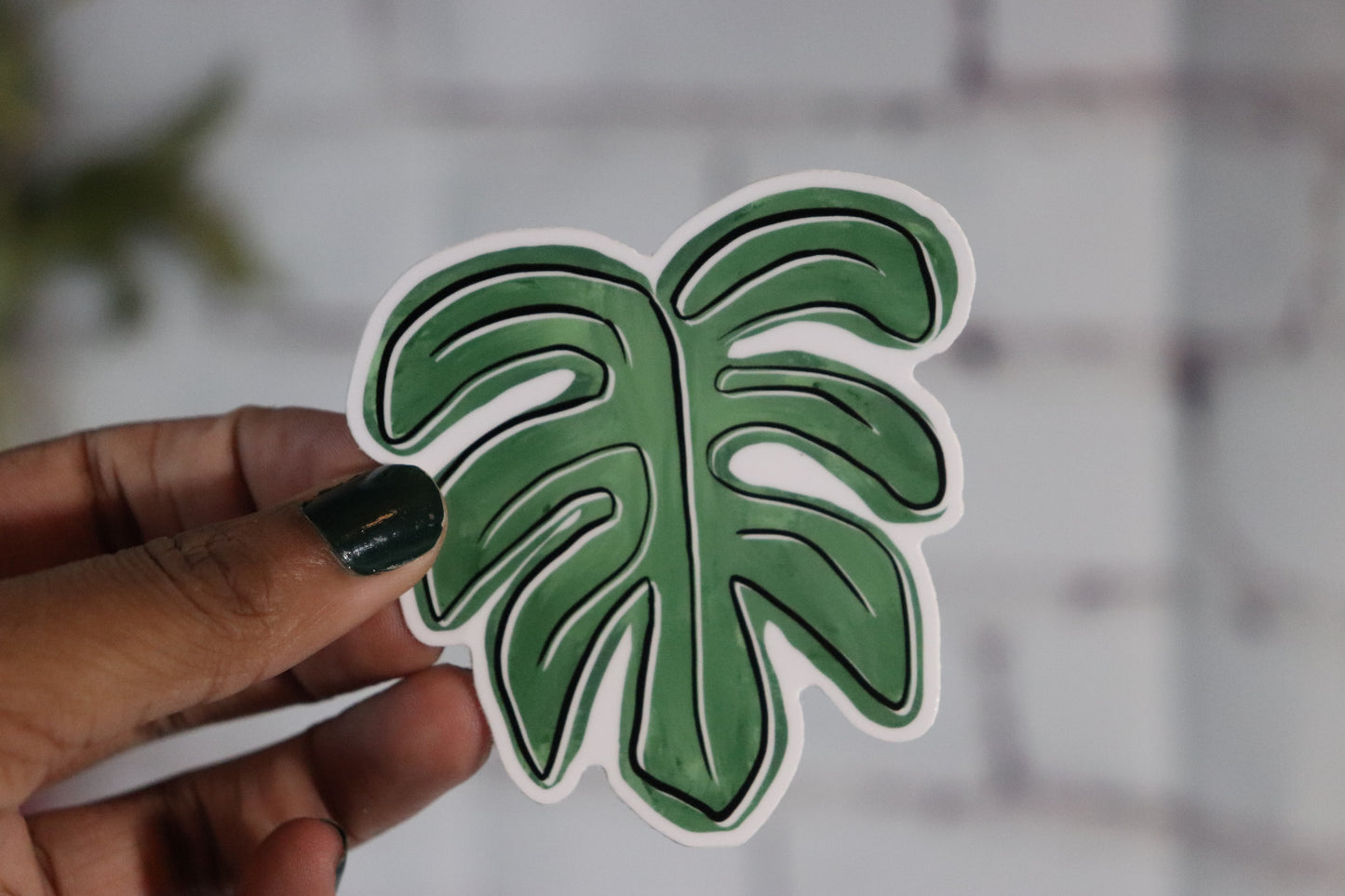 Monstera Leaf 3 Inch Vinyl Sticker